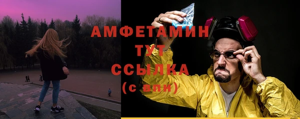 молекула духа Горняк