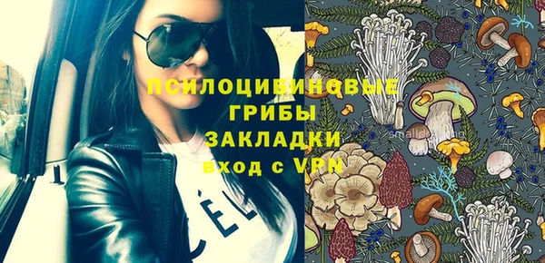 молекула духа Горняк