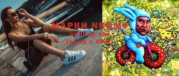молекула духа Горняк