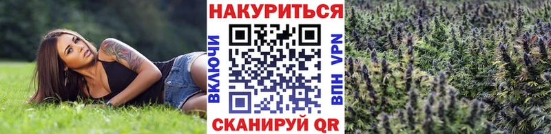 Купить закладки  Истра  Канабис Amnesia 